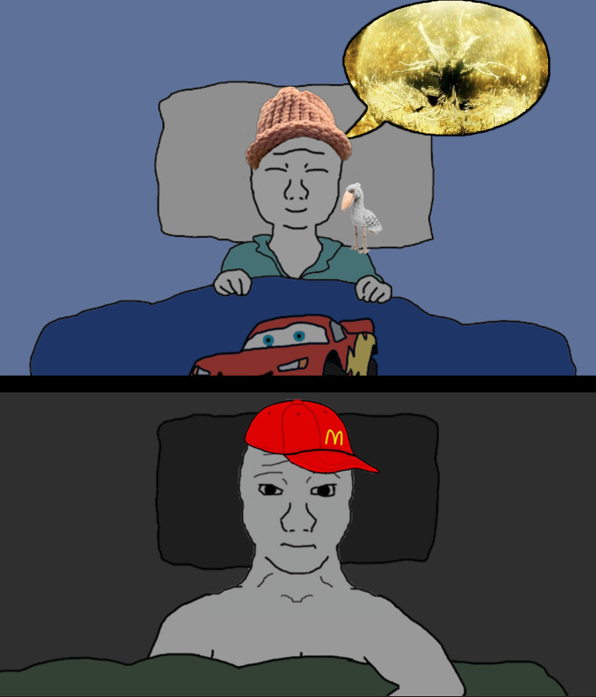 Meme tagged meme, reaction